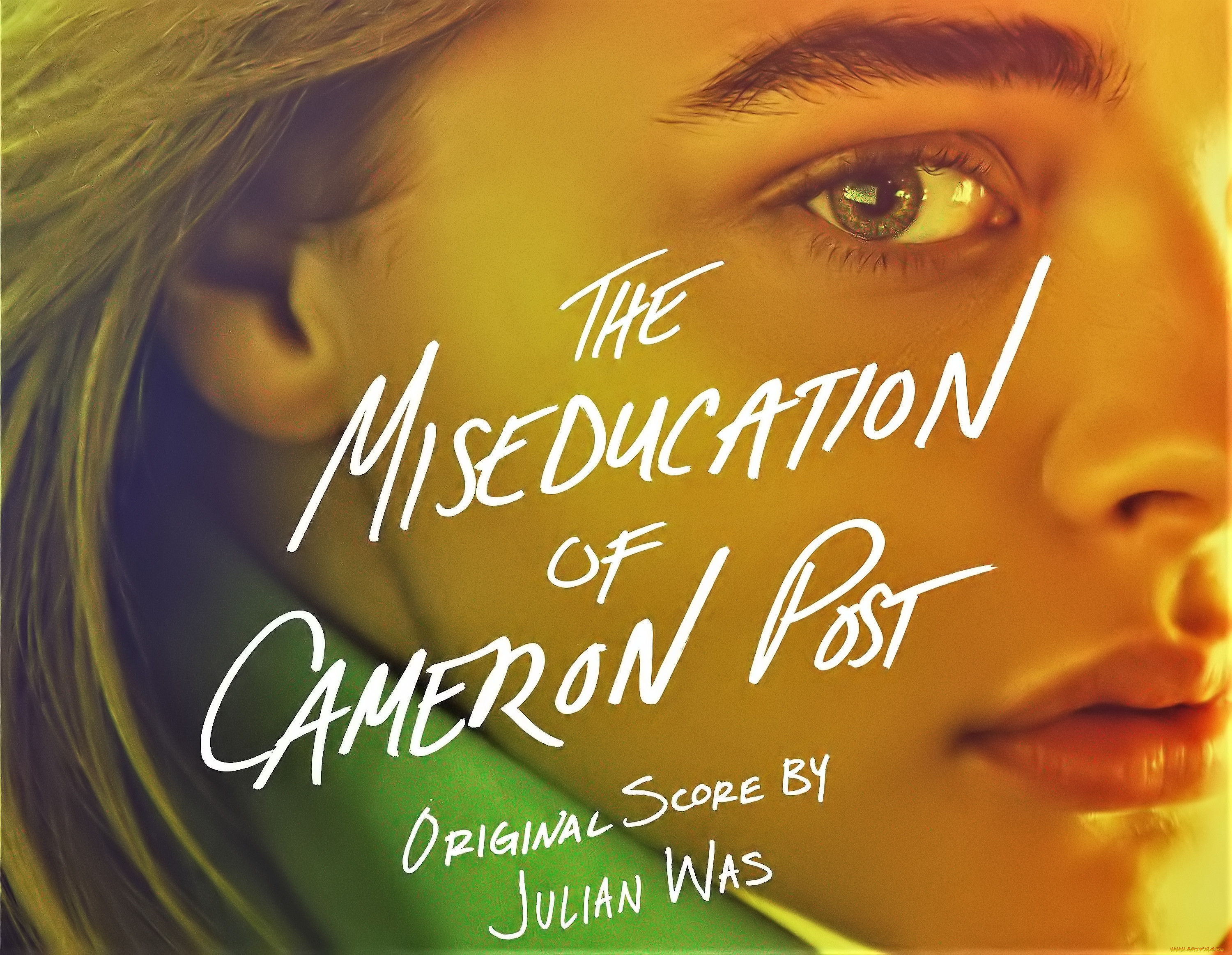  , the miseducation of cameron post, , 